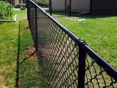 Black backyard chain link fence keep your dogs in.