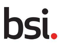 the BS logo