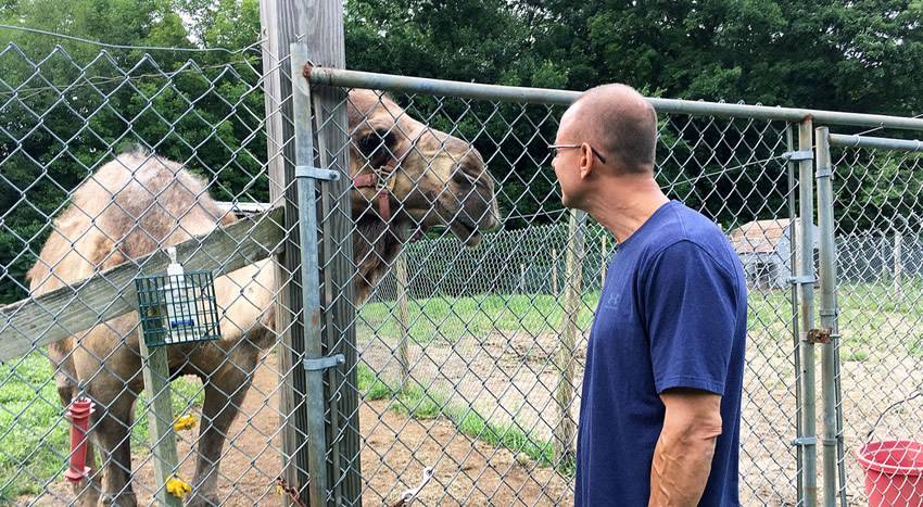A camel gaze at a man through the chain link fence, and this man smile at the camel.