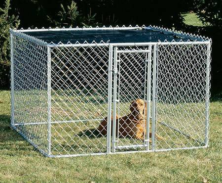 A dog in the chain link kennel on the grassland.