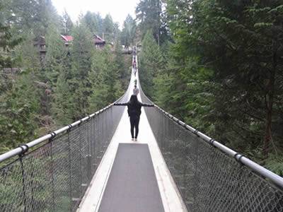 Suspended bridge across gorge help tourists can wall through.