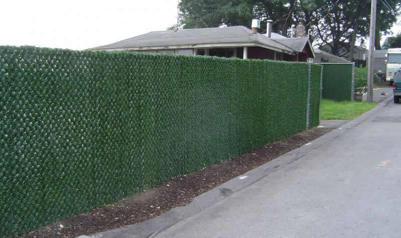 Hedge privacy slat makes your chain link fence look different.