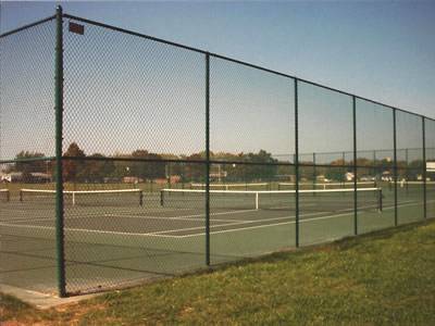 Green vinyl-coated chain link fence with medium rails for strength.