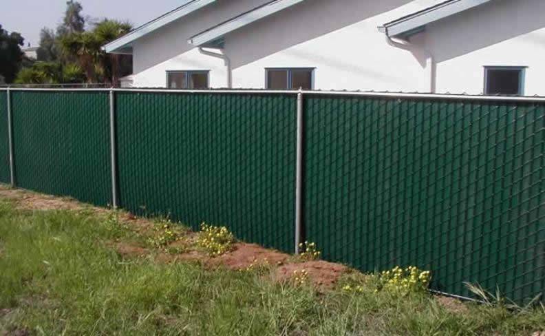 Green winged privacy flats for a residential chain link fence.