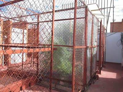 Red chain link greenhouse convenient for covered with plastic sheeting or not.